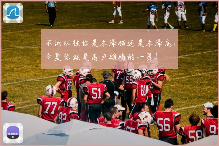 不论以往你是本泽猫还是本泽虎，今夏你就是高卢雄鸡的一员！